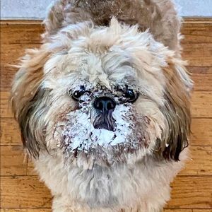 Meet your Posher, Christina